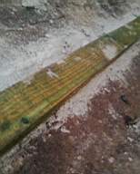 shannonbridge cap-1594.jpg